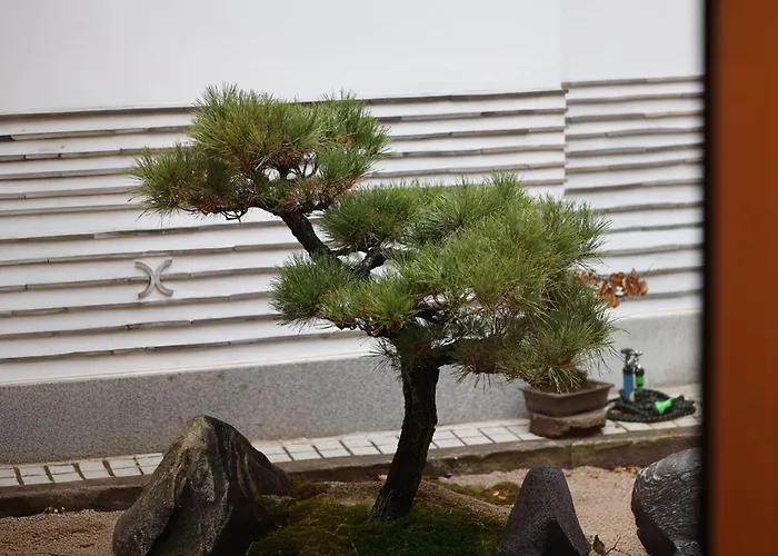 Hanok Moonee Seoel