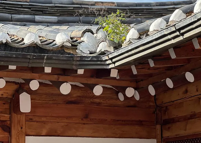 Hanok Moonee